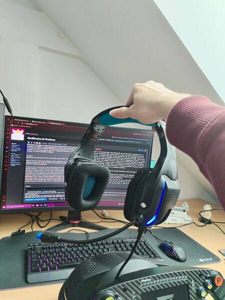 Fichier:Le fameux casque de vend.jpg