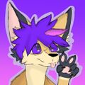 Loup/Fennec